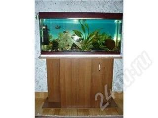 Лот: 211920. Фото: 1. Аквариум 100л. с тумбой. Аквариумы, террариумы