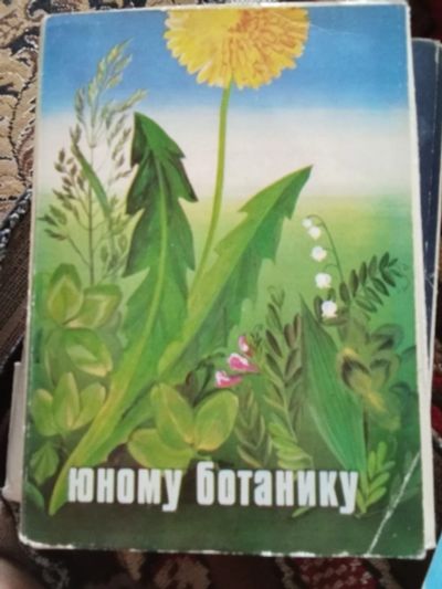Лот: 25267282. Фото: 1. Набор открыток2. Открытки, конверты