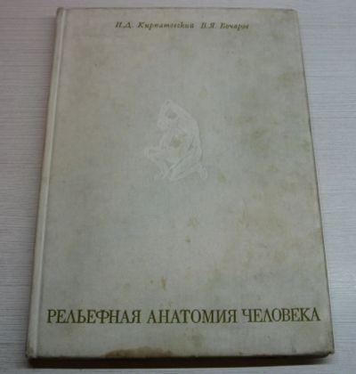 Рельефная анатомия