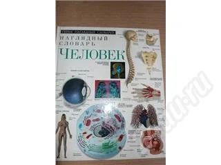 Лот: 465575. Фото: 1. атлас человек наглядный словарь. Справочники