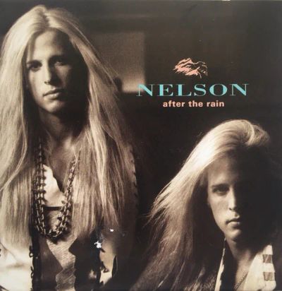 Лот: 21333900. Фото: 1. Nelson ‎– After The Rain / 1990... Аудиозаписи