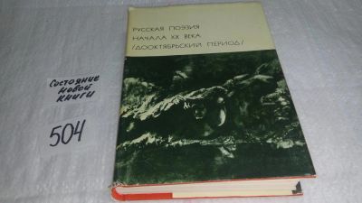 Лот: 10165424. Фото: 1. Русская поэзия начала XX века... Художественная