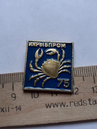 Лот: 19153596. Фото: 1. (№14210) значки,предприятия,Инрыбпром... Юбилейные