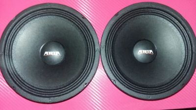 Лот: 8371697. Фото: 1. Aria bzn-200s. Акустика автомобильная