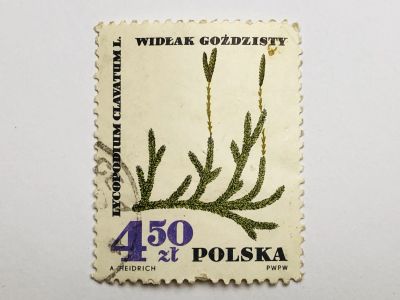 Лот: 23316400. Фото: 1. Лекарственные растения. 4.50 злотых... Марки