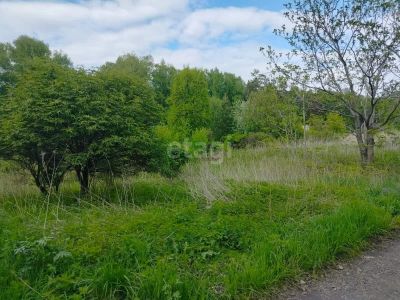 Лот: 25293586. Фото: 1. участок , СНТ Рассвет СНТ Рассвет... Земельные участки