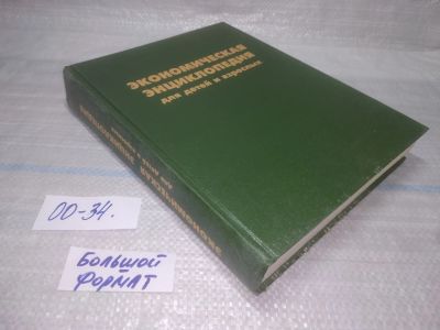 Лот: 25796877. Фото: 1. вбР(00-34)Райзберг Б. А. Экономическая... Экономика