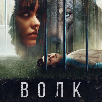 Лот: 24291532. Фото: 1. Волк (2021). Видеозаписи, фильмы