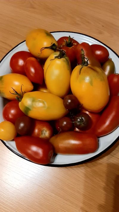 Лот: 20733526. Фото: 1. Помидоры вкусные 4 кг. Овощи, фрукты, зелень