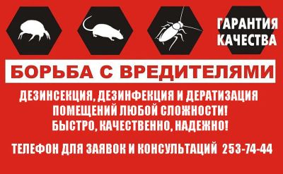 Лот: 11058624. Фото: 1. Дезинсекция и Дератизация. Быстро... Другие (бытовые услуги)