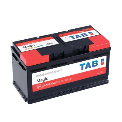 Лот: 25722132. Фото: 1. Аккумулятор TAB Magic 100 обр... Аккумуляторы