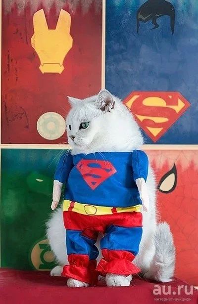 Лот: 12487762. Фото: 1. Костюм супермена для собаки кошки. Ошейники, одежда, конное снаряжение
