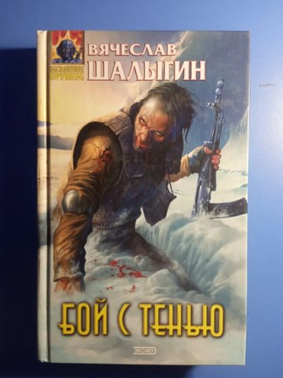 Лот: 19019598. Фото: 1. Вячеслав Шалыгин Бой с тенью. Художественная