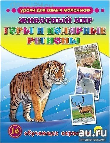 Лот: 10563856. Фото: 1. Обучающие карточки "Животный мир... Познавательная литература