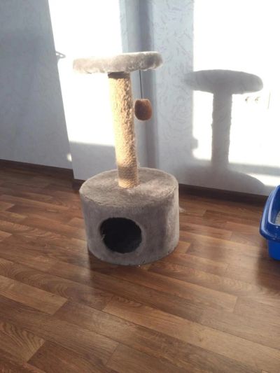 Лот: 6842643. Фото: 1. Домик для вашего котейки. Домики, переноски, клетки, когтеточки