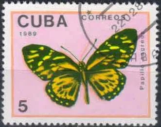 Лот: 21424203. Фото: 1. 1989. Куба. Бабочки. н.с. № 3277. Марки