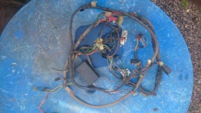 Лот: 6135560. Фото: 1. Проводка в сборе Honda Dio 34... Запчасти