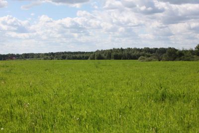 Лот: 12118739. Фото: 1. Продам участок земли в д. Устюг. Земельные участки