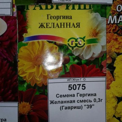 Лот: 9115088. Фото: 1. Семена / цветы / Георгина / Желанная... Садовые цветы