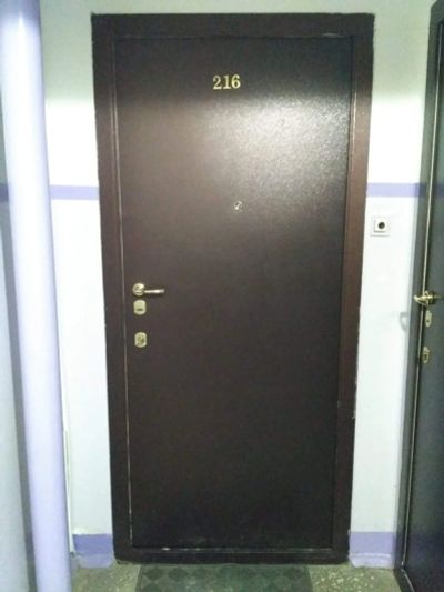 Лот: 17127396. Фото: 1. Дверь входная. Двери входные