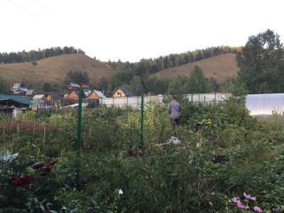 Лот: 13373327. Фото: 1. Сетка волна 1,5м. Ворота, заборы, шлагбаумы