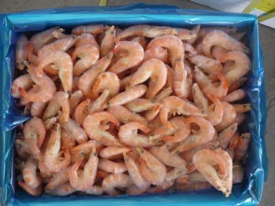 Лот: 8717577. Фото: 1. креветки королевские. Икра, рыба, морепродукты