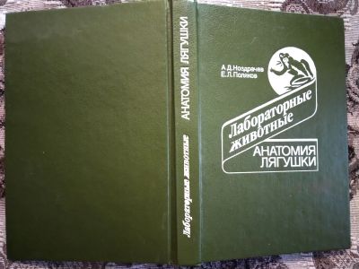 Лот: 18900067. Фото: 1. А. Д. Ноздрачев, Е. Л. Поляков... Для вузов