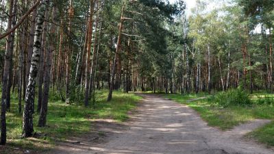 Лот: 12817079. Фото: 1. Дача (дом) Полигон (Водники, Торгашино... Дачи