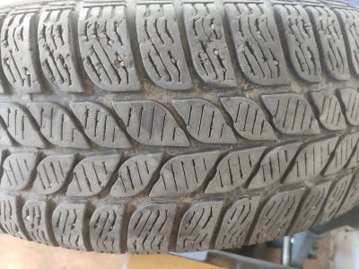 Лот: 20749037. Фото: 1. Pirelli Winter 195/65/15 - 1шт. Шины