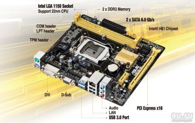 Лот: 10720279. Фото: 1. Материнская плата Asus H81M-R... Материнские платы