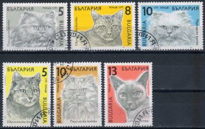 Лот: 25511770. Фото: 1. 1989. Болгария. Кошки. Полная... Марки