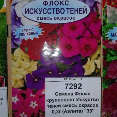 Лот: 9118585. Фото: 1. Семена / цветы / Флокс / крупноцвет... Садовые цветы