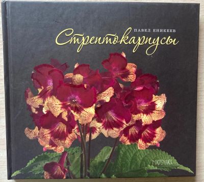 Лот: 25634313. Фото: 1. Павел Еникеев. Стрептокарпусы. Сад, огород, цветы