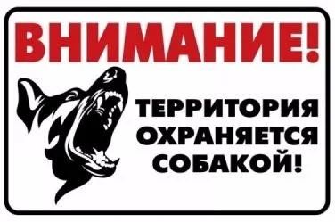 Лот: 11316854. Фото: 1. Табличка Гамма «Охраняется собакой... Другое (животные и уход)