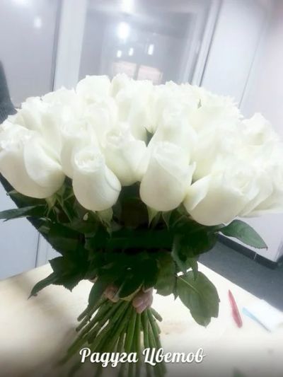 Лот: 6588410. Фото: 1. Белые розы от 65 рублей. Лот 407. Свежие цветы