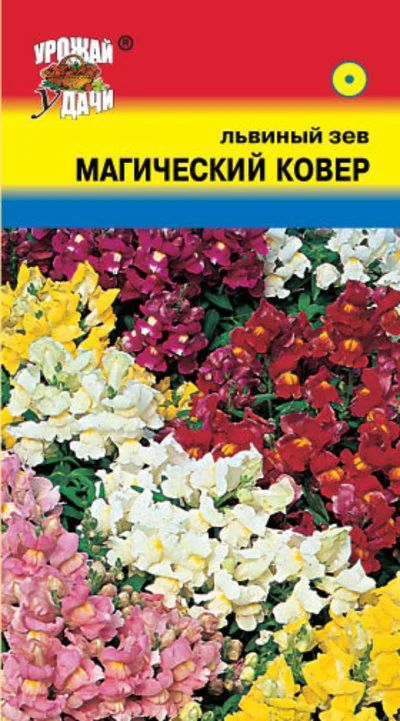 Лот: 12883909. Фото: 1. Семена львиного зева низкорослого... Садовые цветы