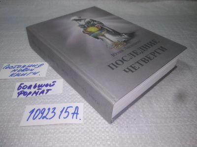 Лот: 25129796. Фото: 1. оз...вбЮ..(1092315А) Ю. Лисицина... Художественная