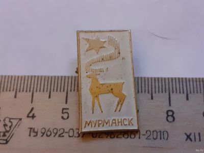 Лот: 18240704. Фото: 1. (№11360) значки, Мурманск. Памятные медали