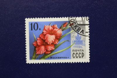 Лот: 6855966. Фото: 1. Почтовая марка №4080 в коллекцию. Марки