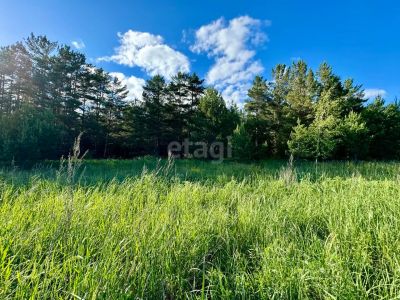 Лот: 25297540. Фото: 1. участок , Красноярск Красноярск... Земельные участки
