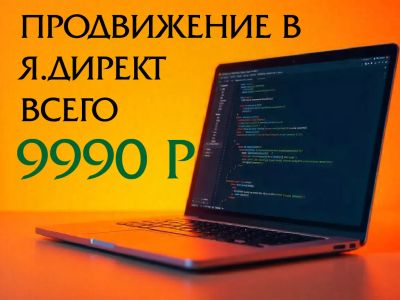 Лот: 25621391. Фото: 1. Эксклюзивное продвижение в Я.Директ... Рекламные услуги, маркетинг, PR