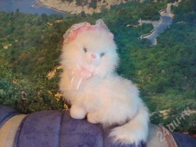 Лот: 325338. Фото: 1. мягкая игрушка "кошка". Другое (дети растут)