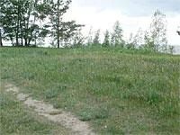 Лот: 1057356. Фото: 1. продам земельный участок с. Маганск. Земельные участки