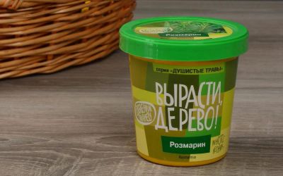 Лот: 12720156. Фото: 1. Вырасти дерево: Розмарин. Настольные игры, карты