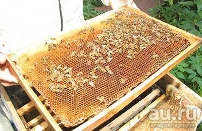 Лот: 9816897. Фото: 1. Сушь. Рамки сотовые пчелиные корпусные... Мёд, продукты пчеловодства