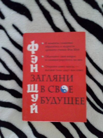 Лот: 4467929. Фото: 1. Книга Фэн шуй за большой сникерс... Художественная
