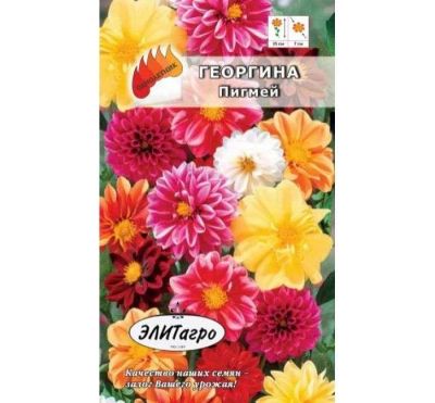 Лот: 11024684. Фото: 1. Георгина Пигмей смесь 0,1гр/Агропрезент. Садовые цветы