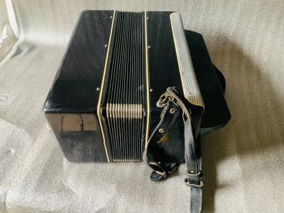 Лот: 25526262. Фото: 1. Баян Восток в чехле чемодан. Баяны, аккордеоны, гармони