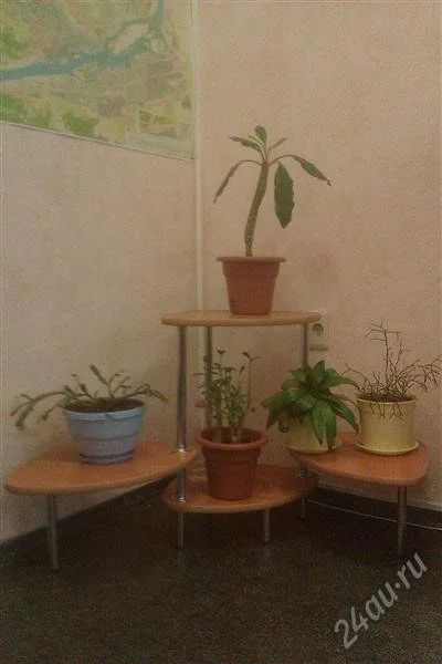Лот: 1606639. Фото: 1. Подставка под цветы. Другое (предметы интерьера)