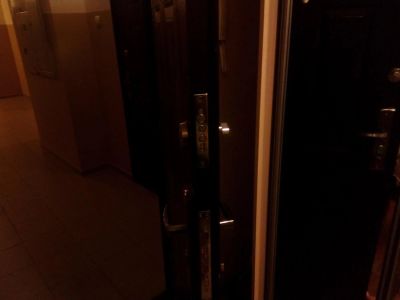 Лот: 8616171. Фото: 1. Дверь металлическая, входнчя. Двери входные